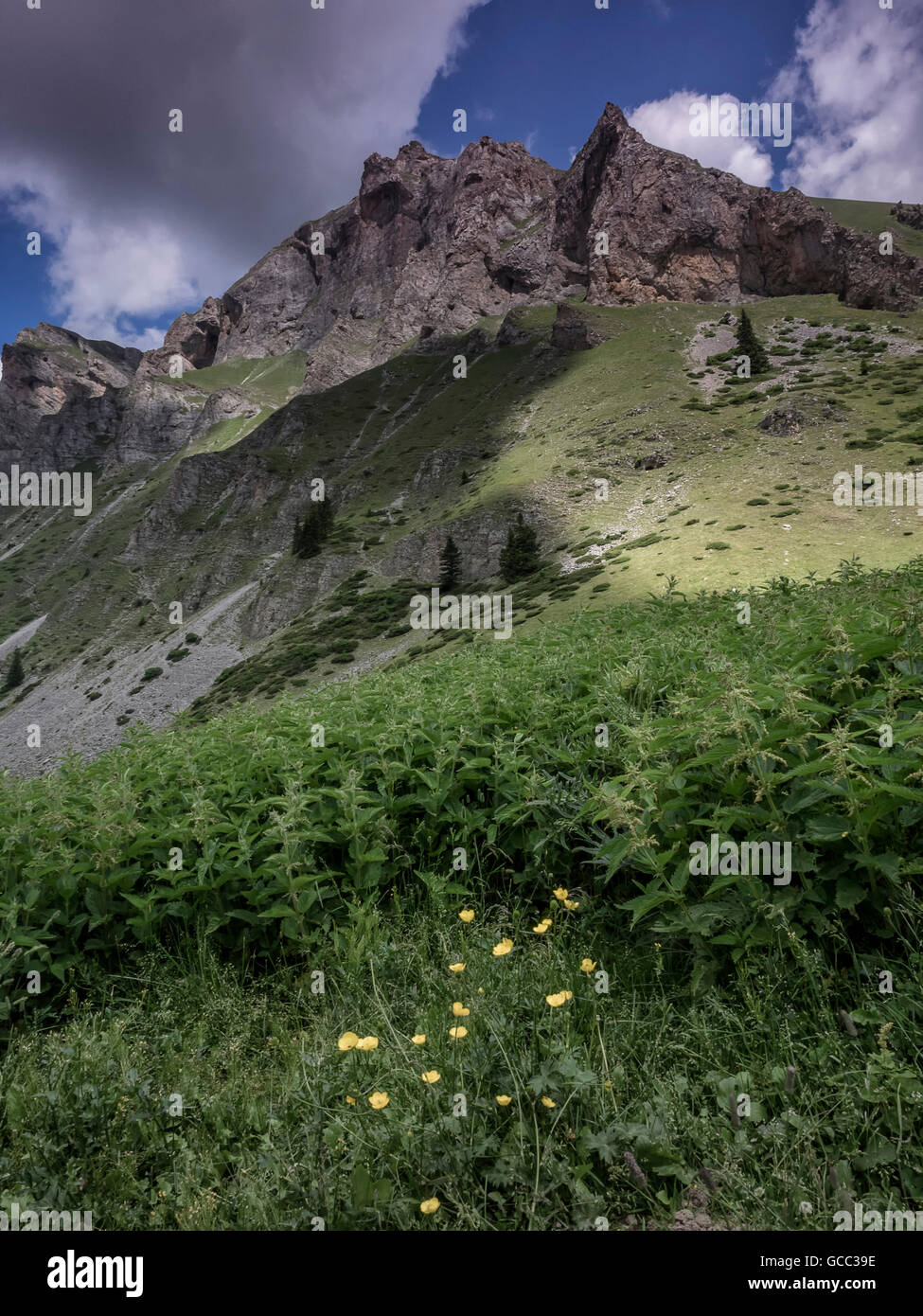 Picco in prossimità Gorna Leshnica, Shara mountain, Macedonia Foto Stock