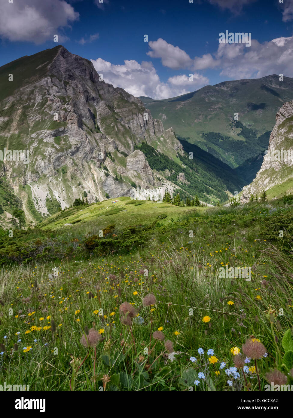 Picco Leshnica Gorna, Shara mountain, Macedonia Foto Stock