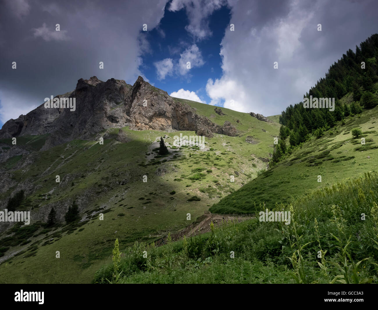 Picco in prossimità Gorna Leshnica, Shara mountain, Macedonia Foto Stock