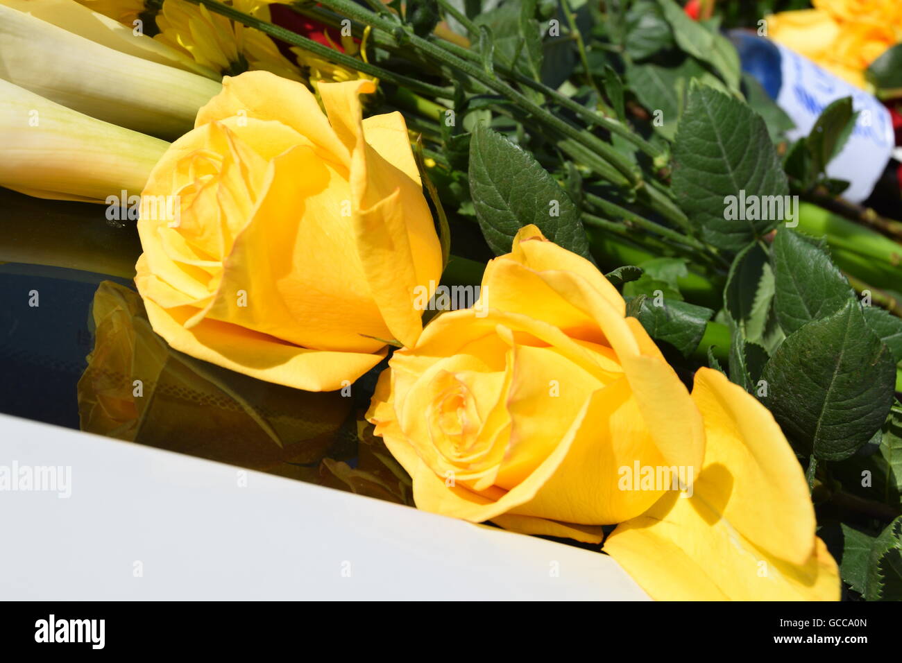 Dallas, Texas, Stati Uniti d'America. 8 Luglio, 2016. Rose giallo posto sulla sommità di un Dallas auto della polizia a Dallas, TX 8 Luglio, 2016. Credito: Hum Immagini/Alamy Live News Foto Stock
