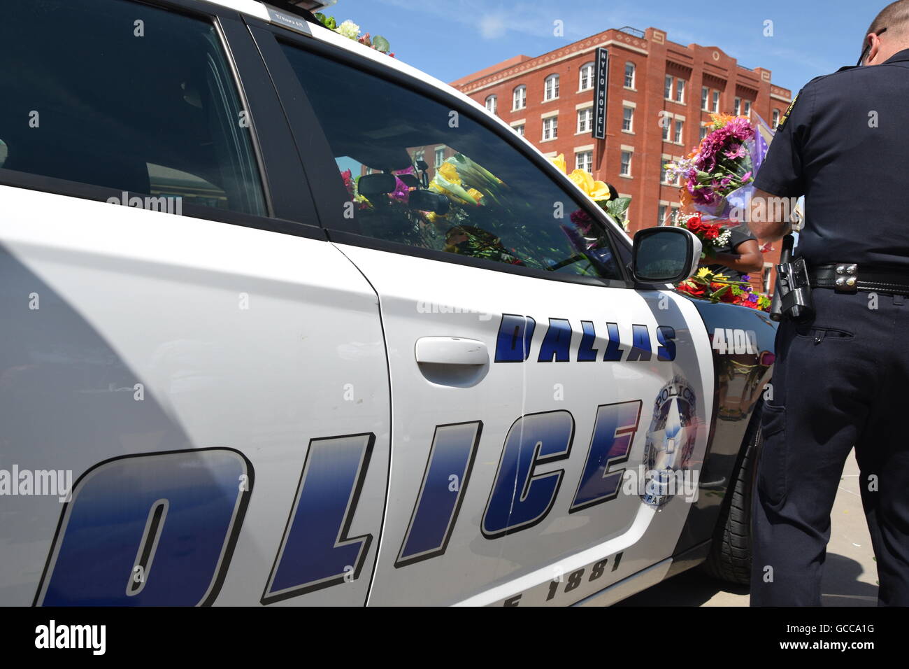 Dallas, Texas, Stati Uniti d'America. 8 Luglio, 2016. Dallas funzionario di polizia mettendo fiori su una polizia di Dallas auto al di fuori del Dallas questura luglio 8th, 2016 Credit: Hum Immagini/Alamy Live News Foto Stock