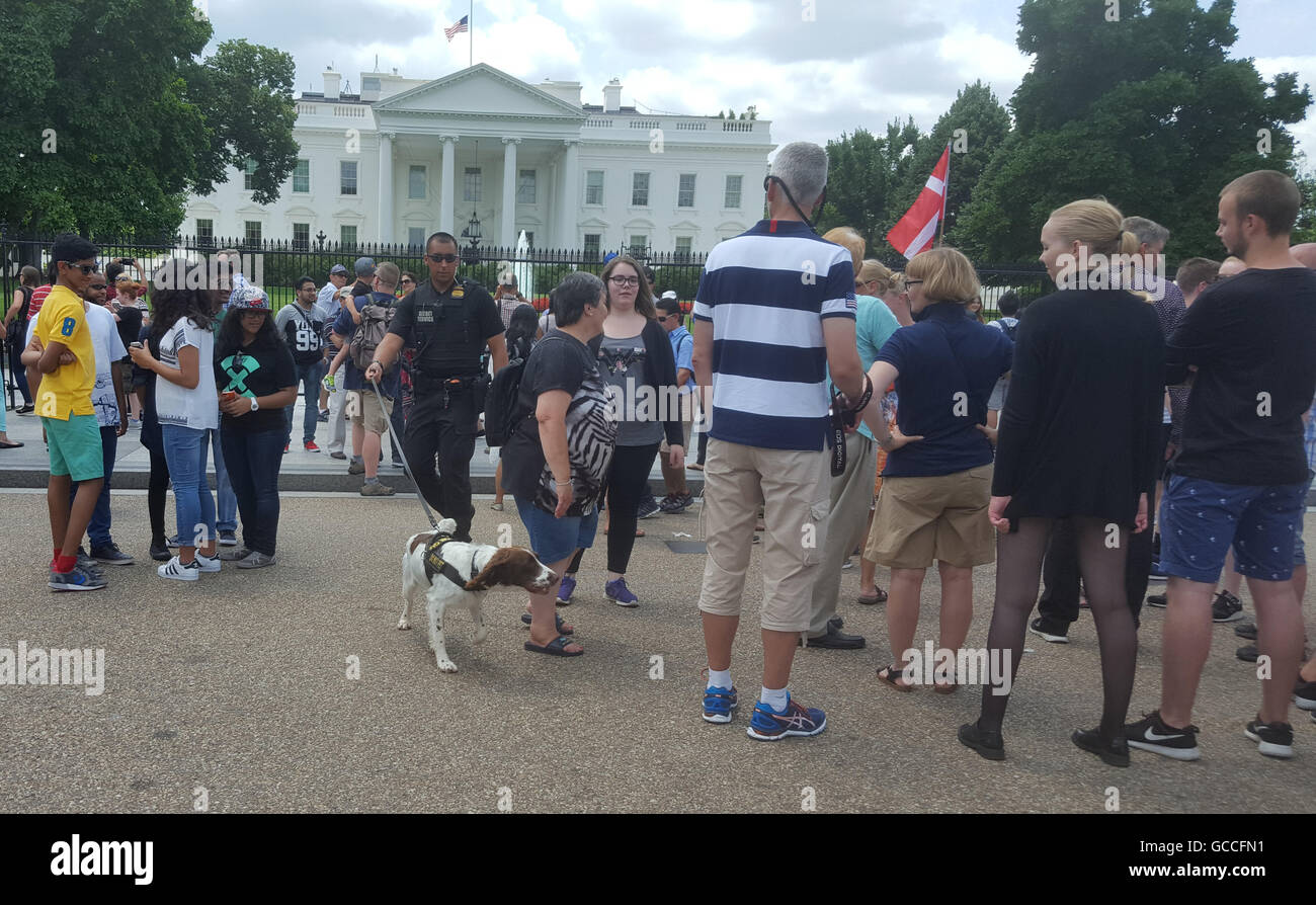 Washington DC, Luglio 9, 2016, STATI UNITI D'AMERICA -- un membro del servizio segreto K-9 corp passeggiate attraverso una folla di turisti si sono riuniti di fronte alla Casa Bianca. La sicurezza nell'area di Washington DC è stato aumentato a causa del picco di violenza intorno agli Stati Uniti. Credito: Patsy Lynch/Alamy Live News Foto Stock