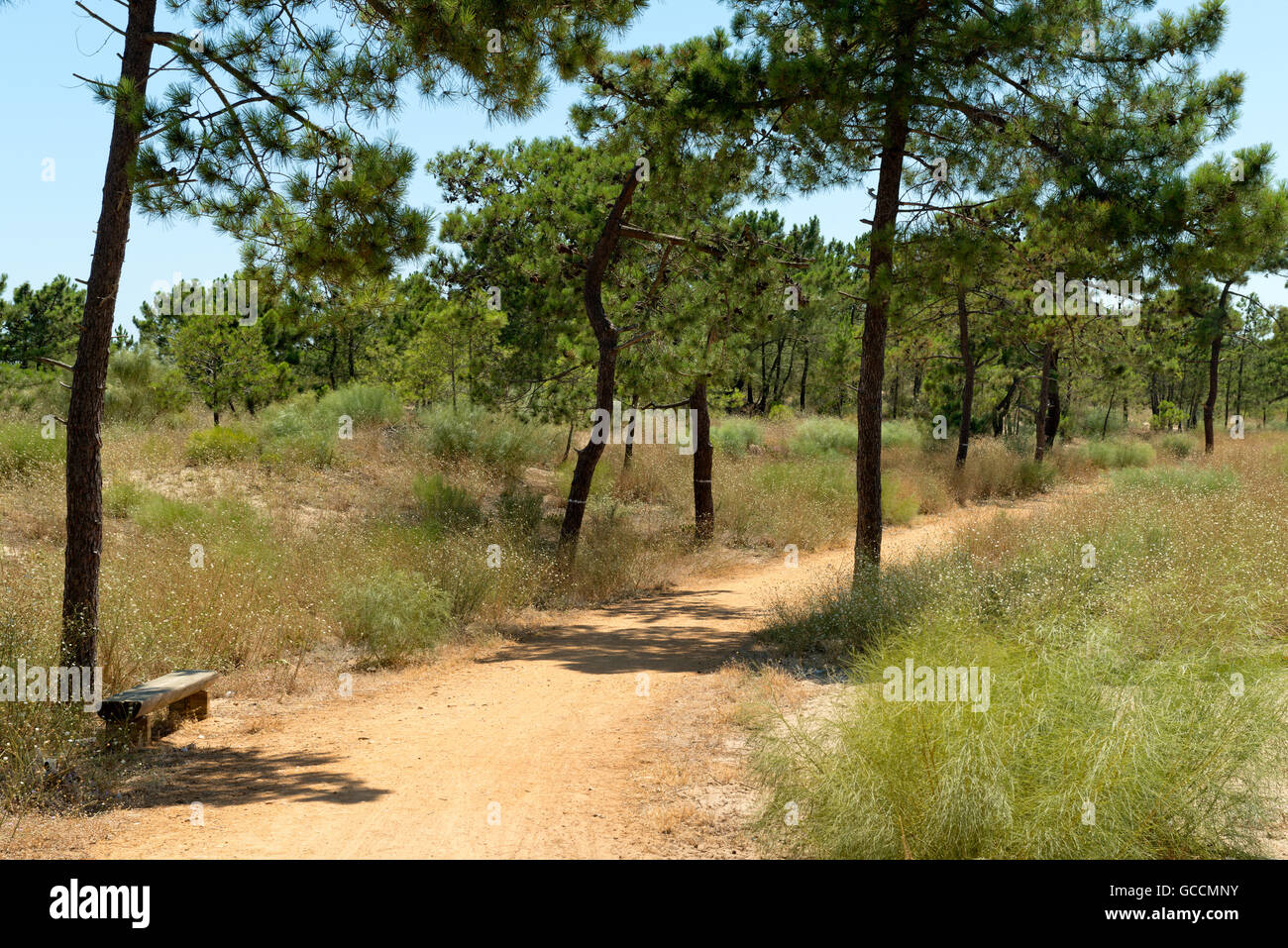 La Ecovia litoral sentiero natura, ciclo & walking via vicino Monte Gordo Foto Stock