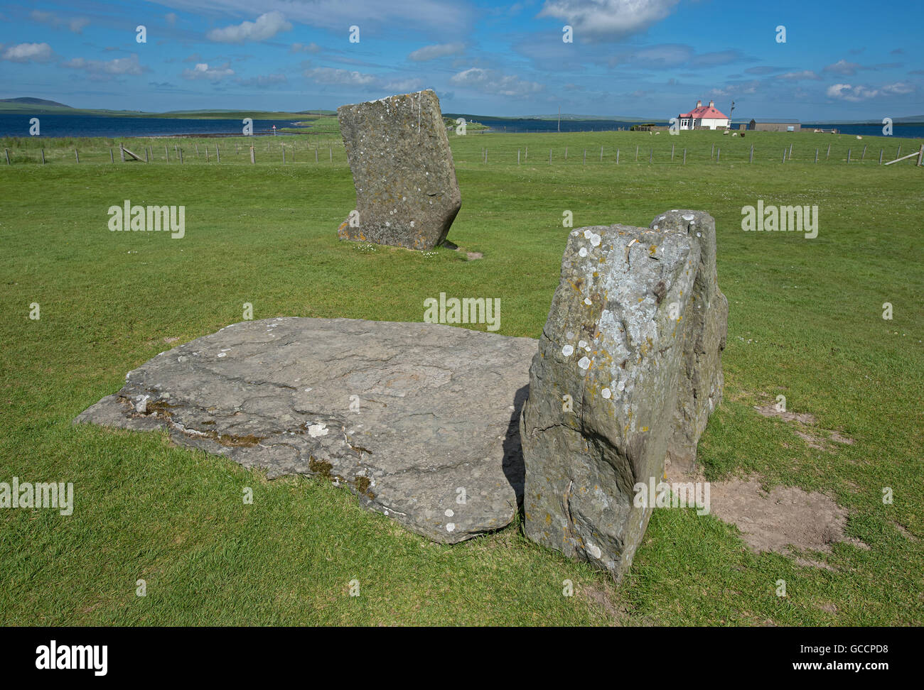 Severità pietre permanente entro il Sito Patrimonio Mondiale dell'UNESCO, cuore delle Orcadi neolitiche. SCO 10,593. Foto Stock