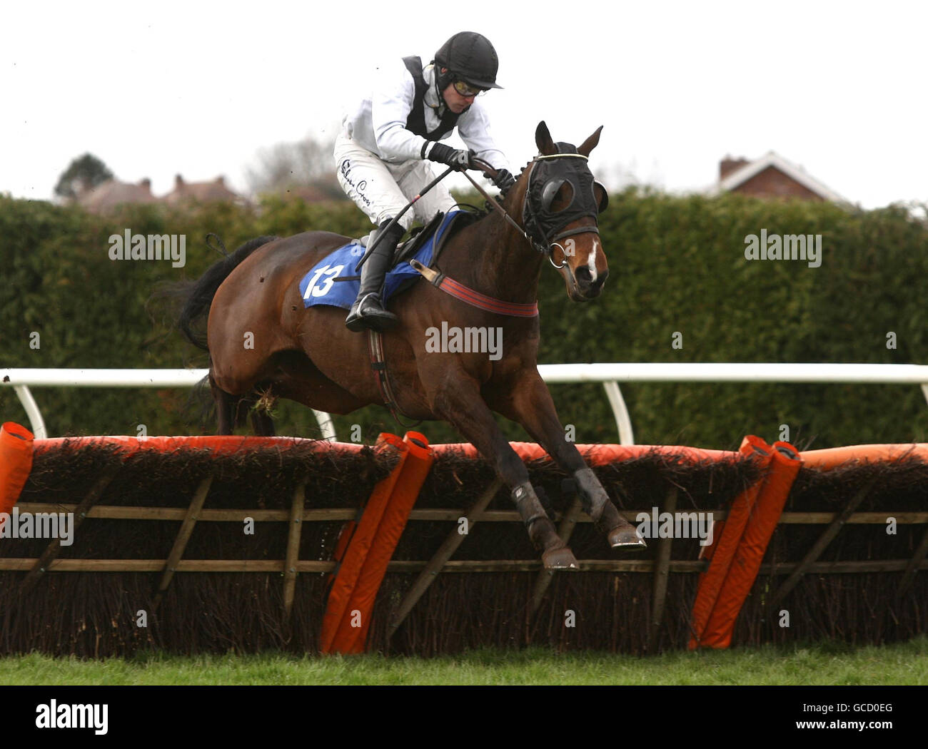 Corse di cavalli - Ippodromo di Hereford. Earcomesthedream guidato da Tom Siddall salta l'ultimo per andare a vincere il Lindley Catering all'ippodromo di Hereford, Hereford. Foto Stock