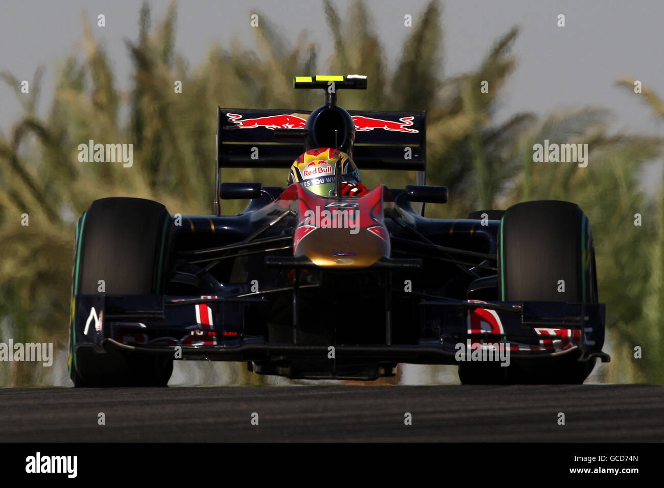 Jaime Alguersuari di Toro Rosso durante il Gran Premio del Golfo Air Bahrain al circuito Internazionale del Bahrain a Sakhir, Bahrain Foto Stock
