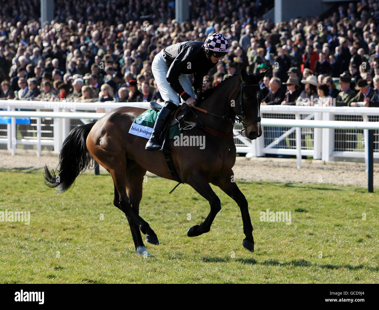 Horse Racing - 2010 Cheltenham Festival - Giorno Uno Foto Stock