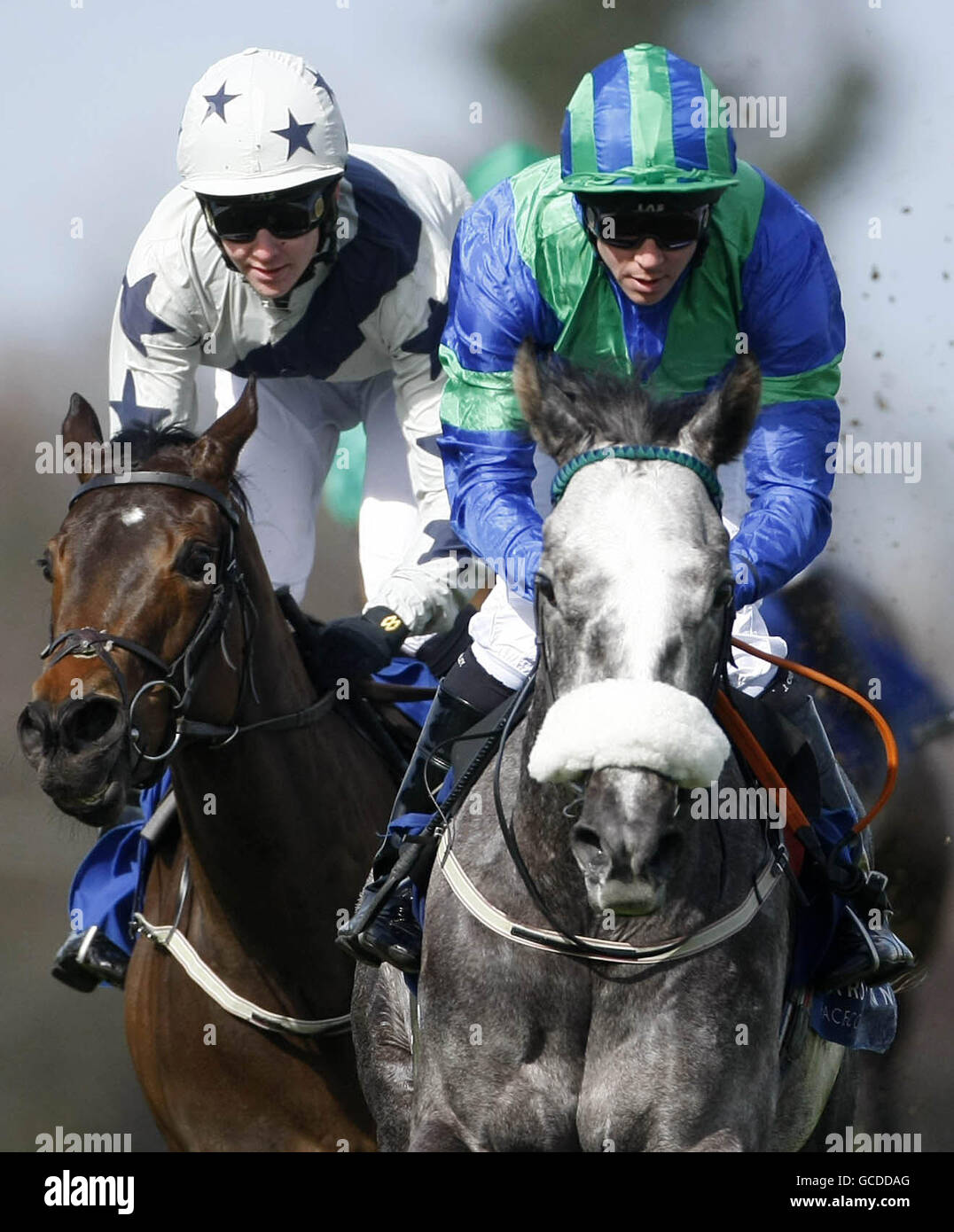 Lady Springbock guidato da James Crowley passa la Duchessa di Foxland guidata da Emmet McNamara per vincere la 1000 Guineas Trial Stacks nel 1000 e nel 2000 Guineas Trials Day all'ippodromo di Leopardstown. Foto Stock