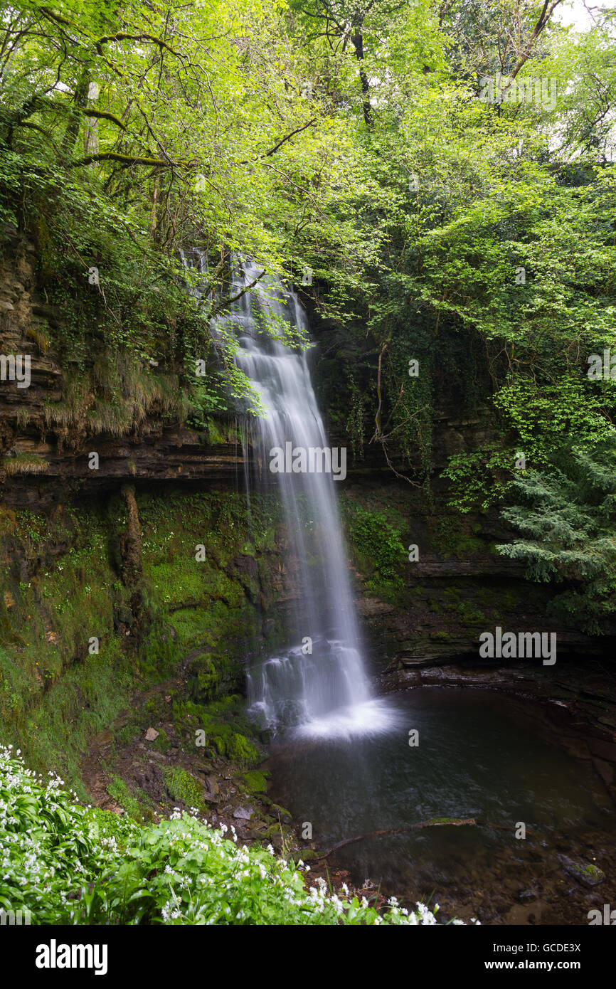 Cascata di Glencar, nella Contea di Leitrim Foto Stock