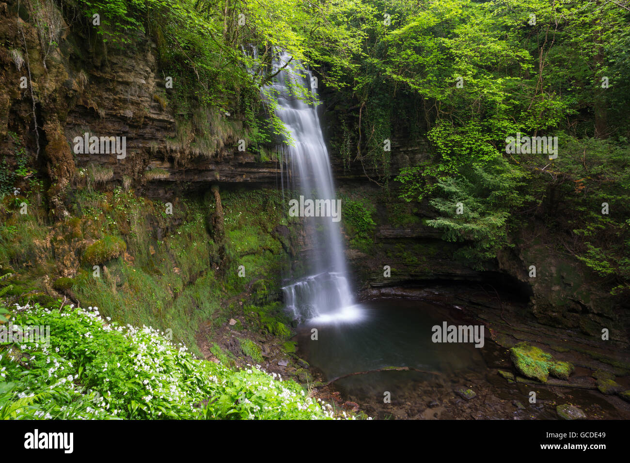 Cascata di Glencar, nella Contea di Leitrim Foto Stock