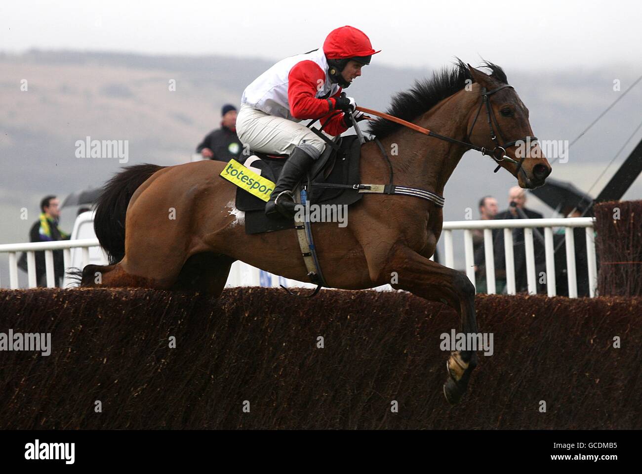 Corse di cavalli - Festival di Cheltenham 2010 - quattro giorni. Carruthers guidato da Mattie Batchelor durante il totesport Cheltenham Gold Cup Chase Foto Stock