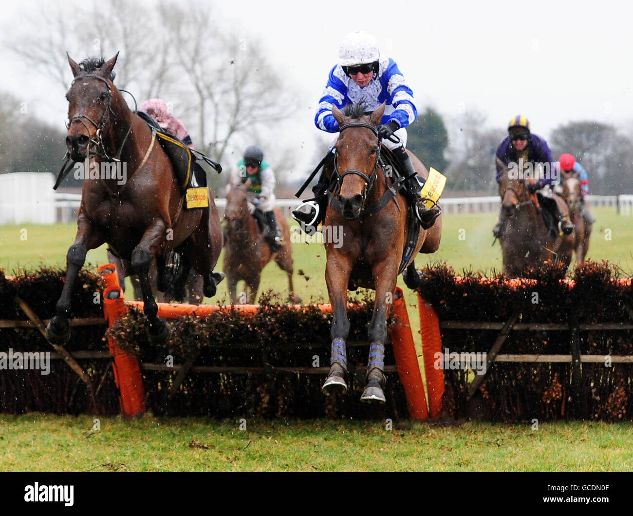 Bella Haze, guidata da David Pritchard continua a vincere la totescoop6 Handicap Hurdle Race durante il Midlands Grand National presso l'ippodromo Uttoxeter, Staffordshire. Foto Stock