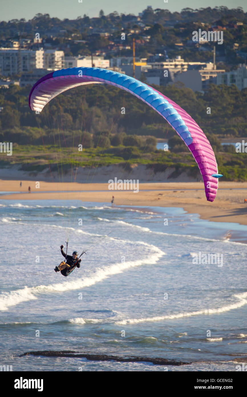 Un uomo vola il suo parapendio lungo la clifftops. Il deltaplano è famoso anche qui a Sydney le spiagge del nord della penisola. Foto Stock