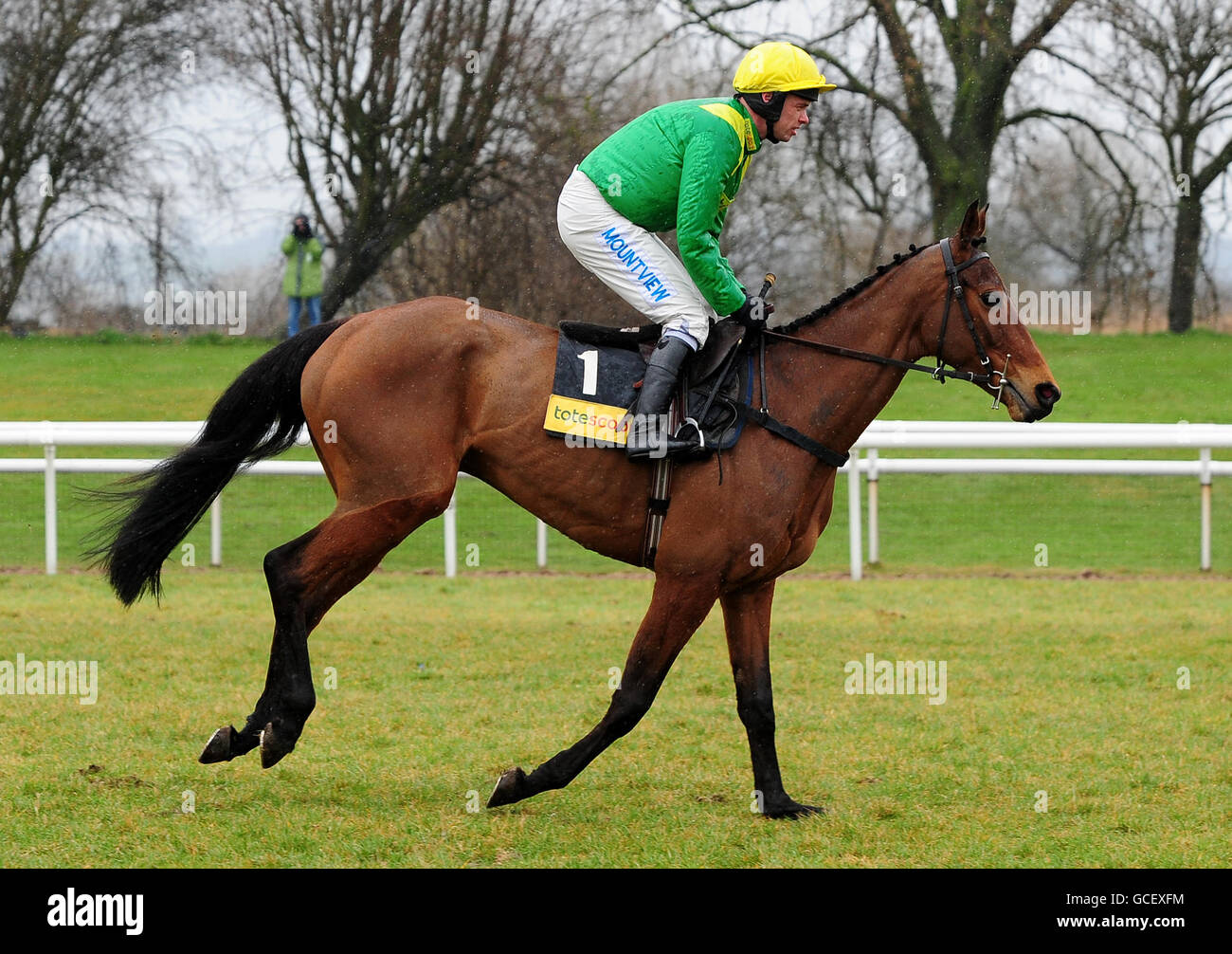 Horse Racing - Midlands Grand National - Uttoxeter Racecourse Foto Stock