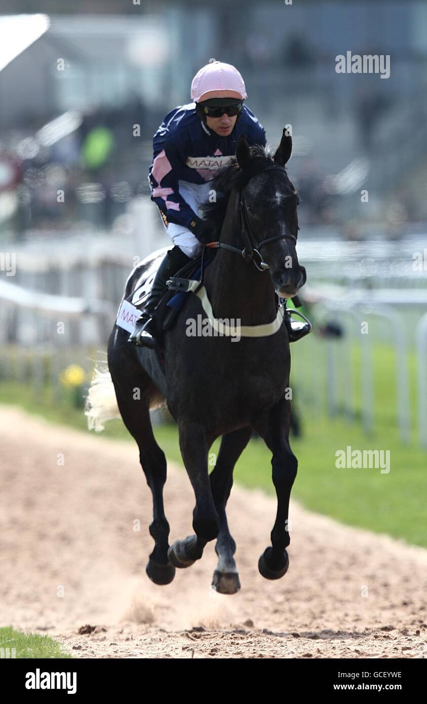 Corse di cavalli - 2010 John Smith's Grand National - Day One - Ippodromo di Aintree. Olofi cavalcato da jockey Paddy Brennan prima del Matalan anniversario 4-Y-o Novices 'ostacolo grado 1 Foto Stock