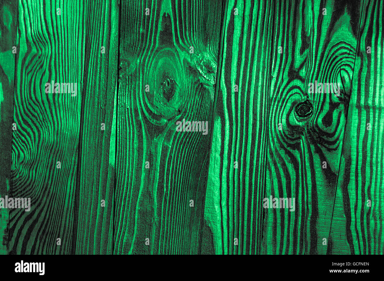 Perfetto verde menta luce grigiastra irregolari di colore verdastro vecchio legno lucido scuro superficie di legno sfondo texture Foto Stock