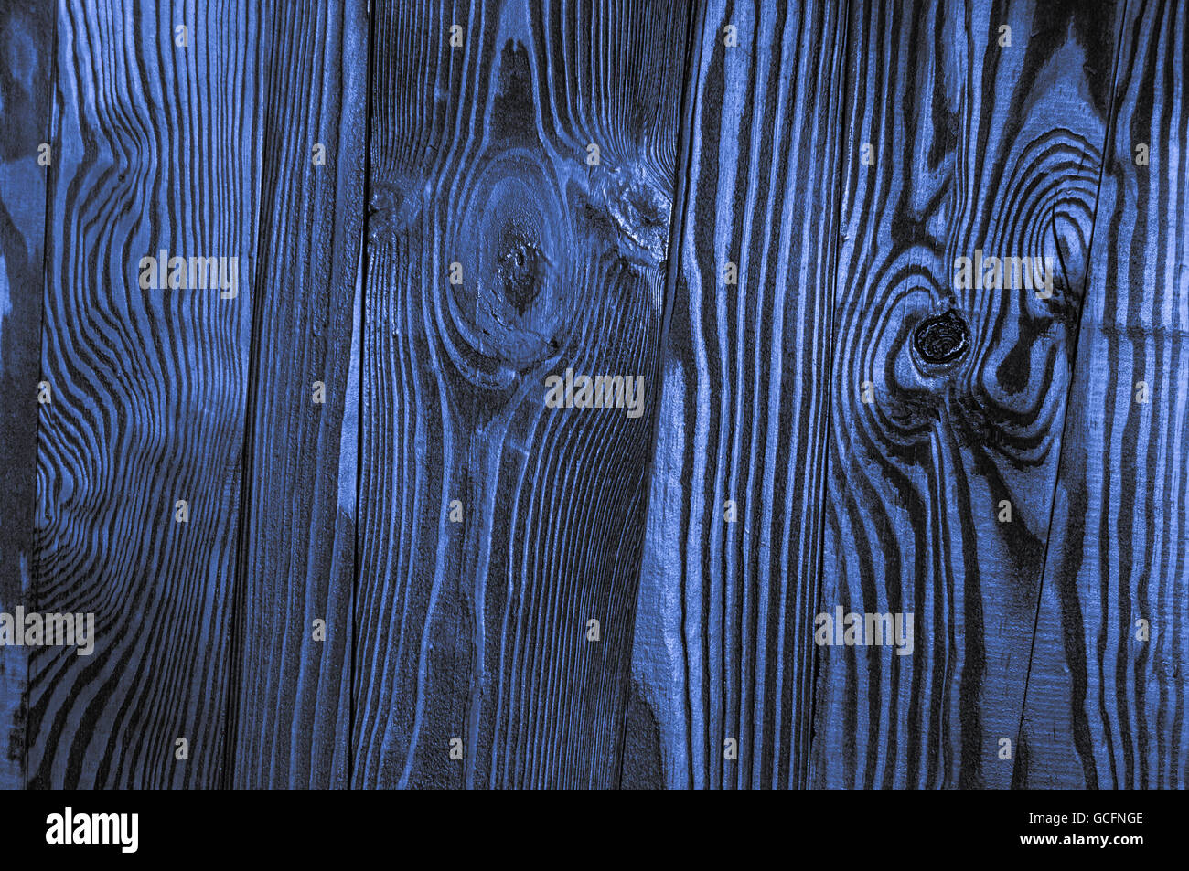 Perfetta luce blu grigio bluastro irregolare indaco vecchio legno lucido scuro superficie di legno sfondo texture Foto Stock