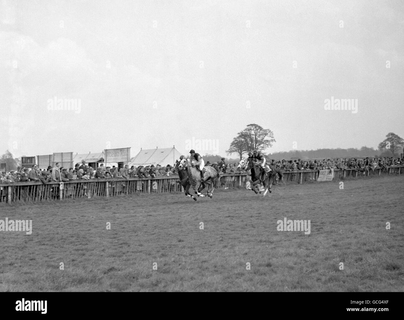 Horse Racing - Old Surrey, Burstow e Surrey unione da punto a punto incontro - Ippodromo di Gatwick Foto Stock