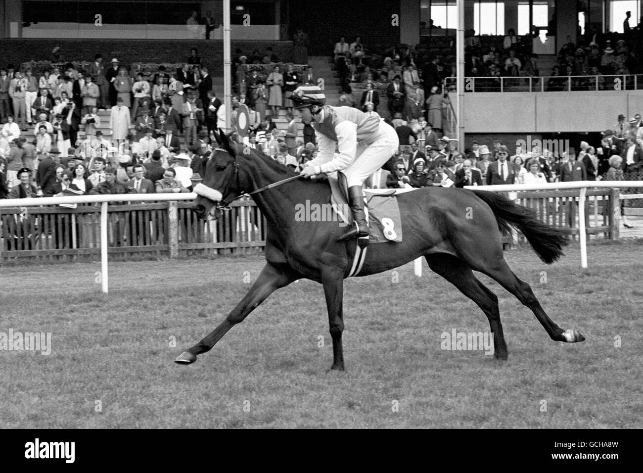 Leggy tre-year old francese ha bred filly 'Lily Mab', con Jockey Gay Kelleway su. La figlia di 'Prince Mab', la sua diga tedesca 'Liburna' è stata una vincitrice in Germania e proviene da una lunga serie di maree vincenti. Il cavallo fu addestrato da Paul Kelleway a Newmarket. Foto Stock