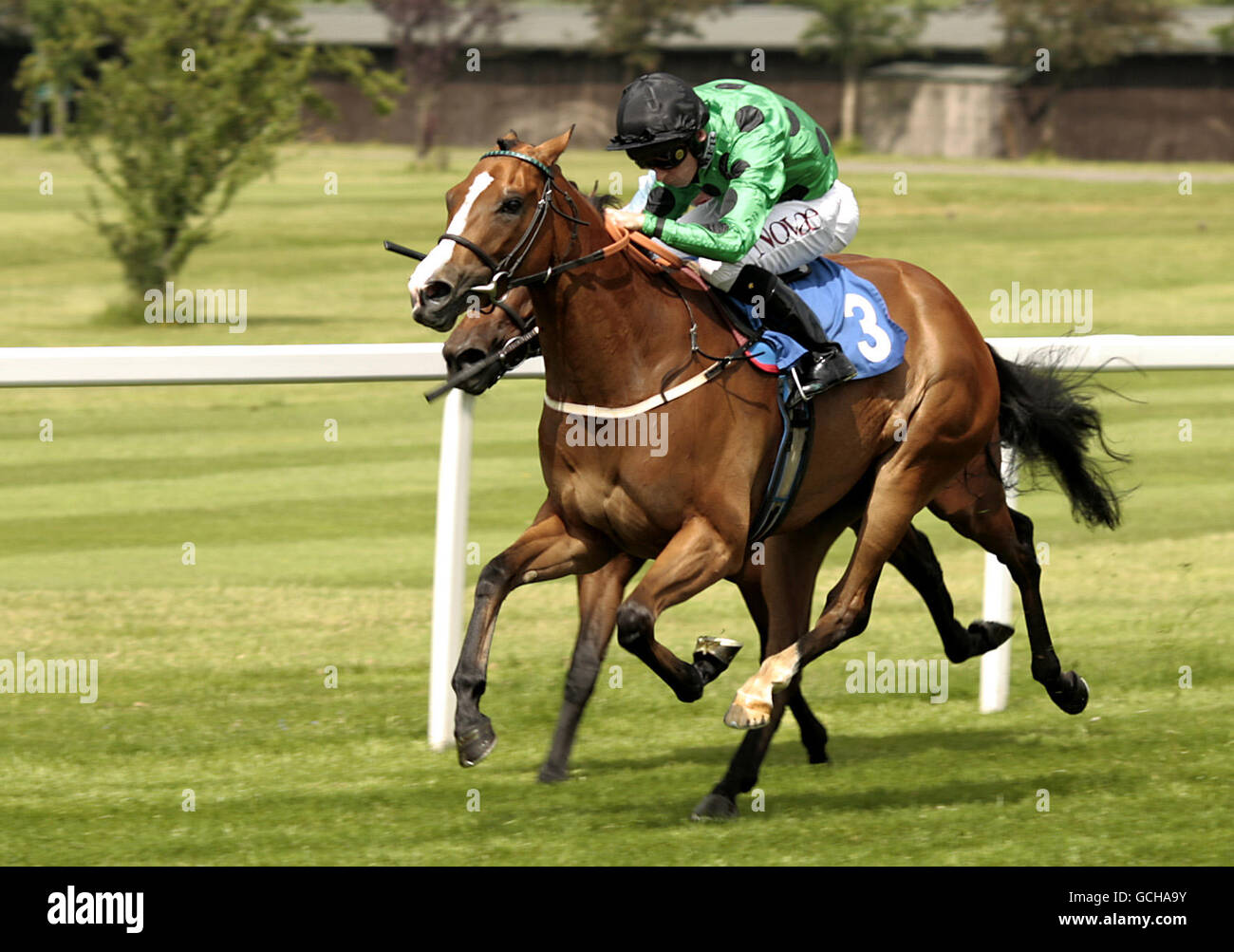 Drift and Dream guidato da Jockey Ted Durcan vince il Toteswinger Flexi Scommesse handicap Stakes al Sandown Park Racecourse Foto Stock