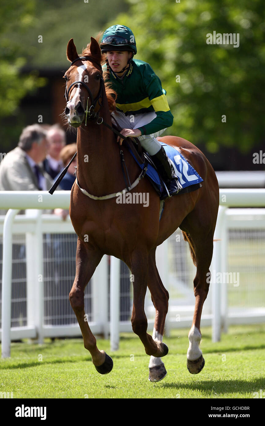 Poppy Golightly guidato da Jockey Richard Kingscote in corso di post Prima del 'come Shopping at Castlepoint' Dougland Support Services Maiden Stakes Foto Stock