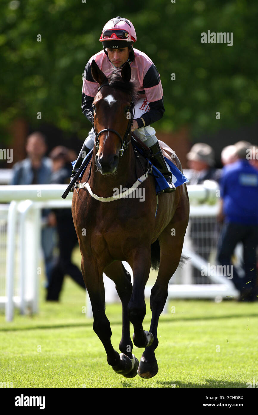 Monte Mayor due guidato da jockey Dane o'Neill andando a. Posta prima del 'come Shopping at Castlepoint' Dougland Support Servizi Stakes Maiden Foto Stock