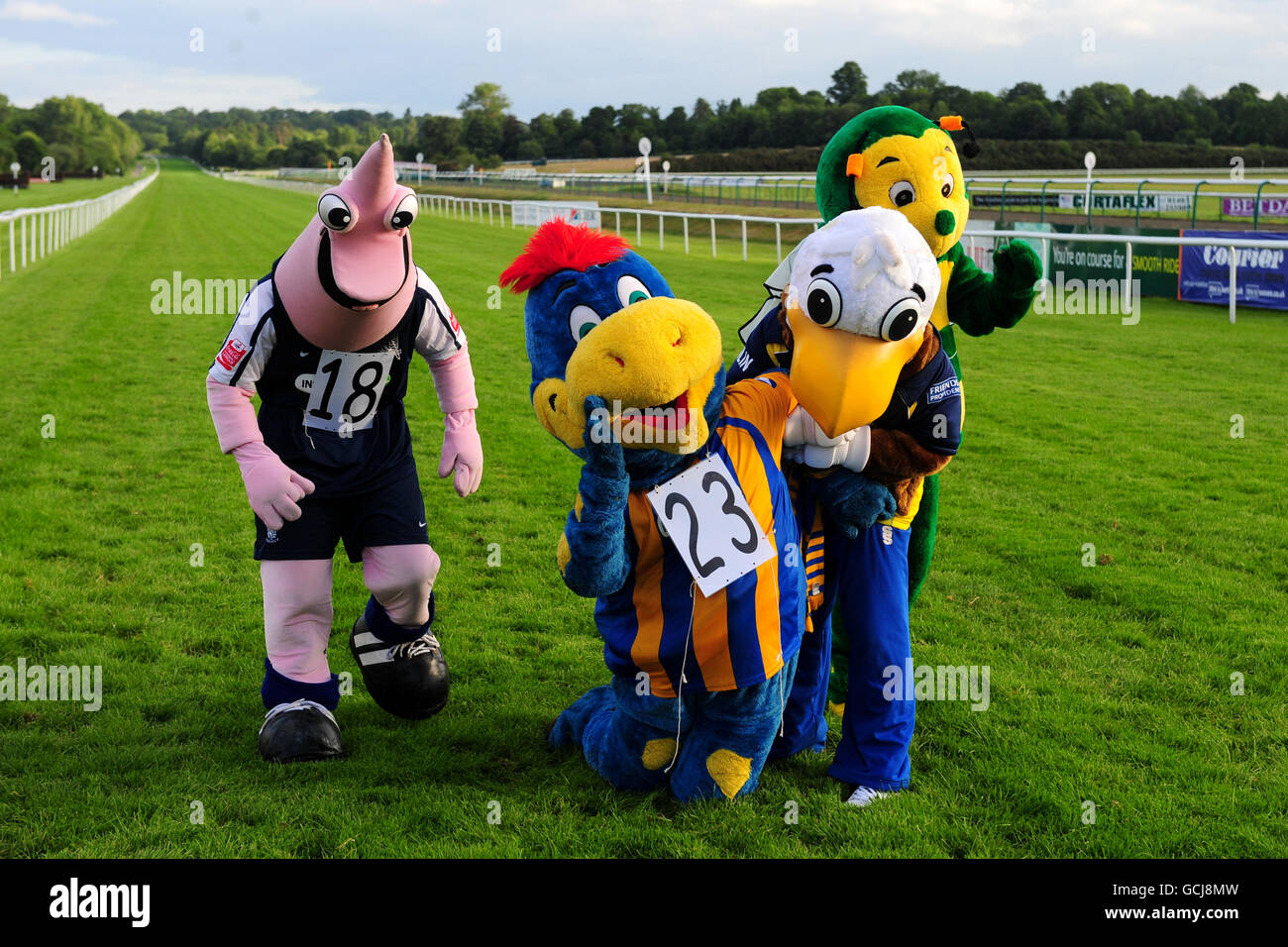 Corse di cavalli - Lingfield Racing and Music Night - Lingfield Park Racecourse. La mascotte della città di Basingstoke, Stokie the Dragon (seconda a sinistra), è aiutata ai suoi piedi da altre mascotte dopo la gara della mascotte al Linfield Park Foto Stock