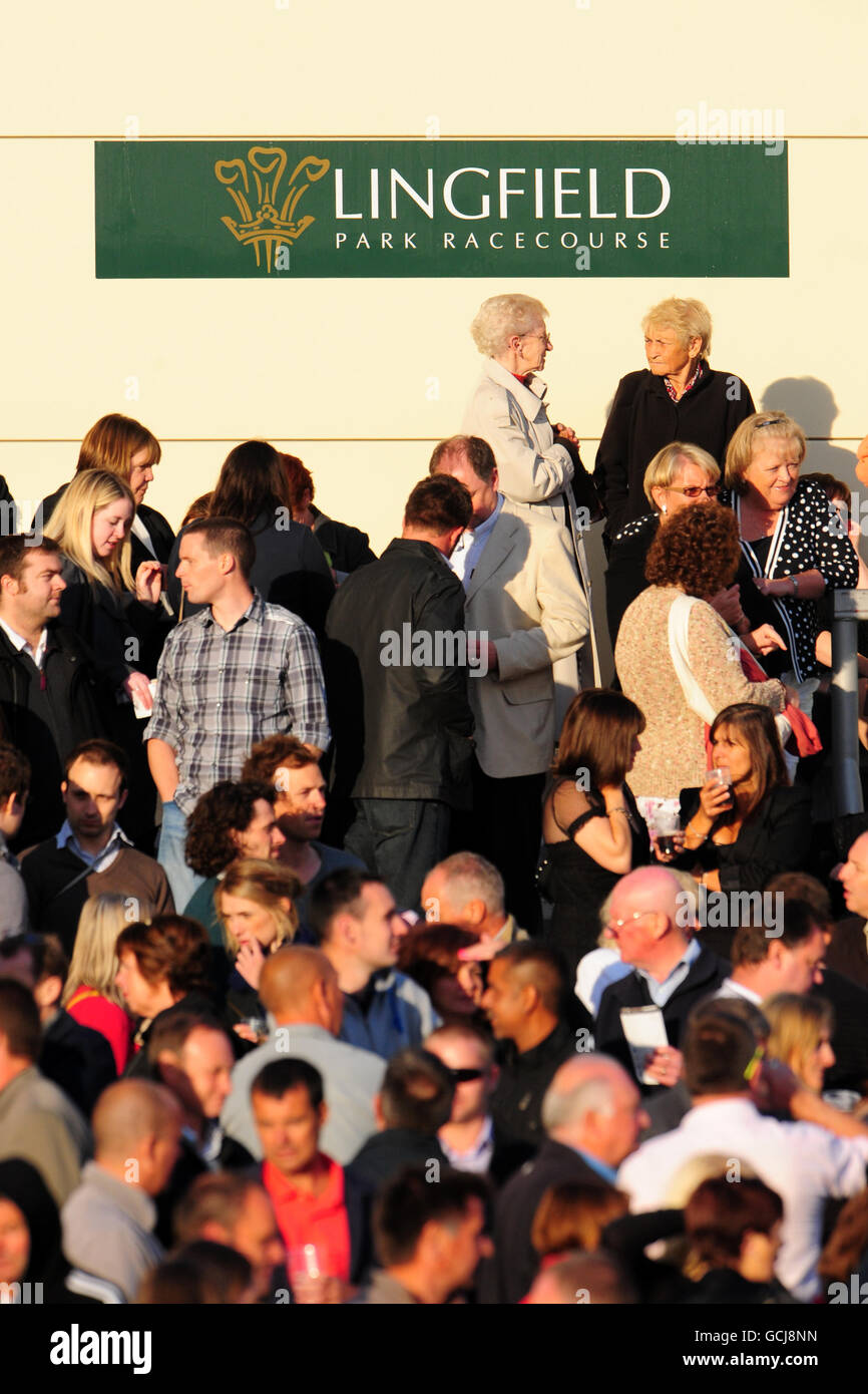 Corse ippiche - Lingfield Racing and Music Night - Lingfield Park Racecourse. Racegoers guarda l'azione dai supporti Foto Stock