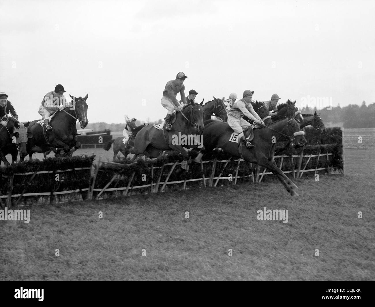 Corse di cavalli - Il Freshmans corsa ad ostacoli - ippodromo di Newbury Foto Stock