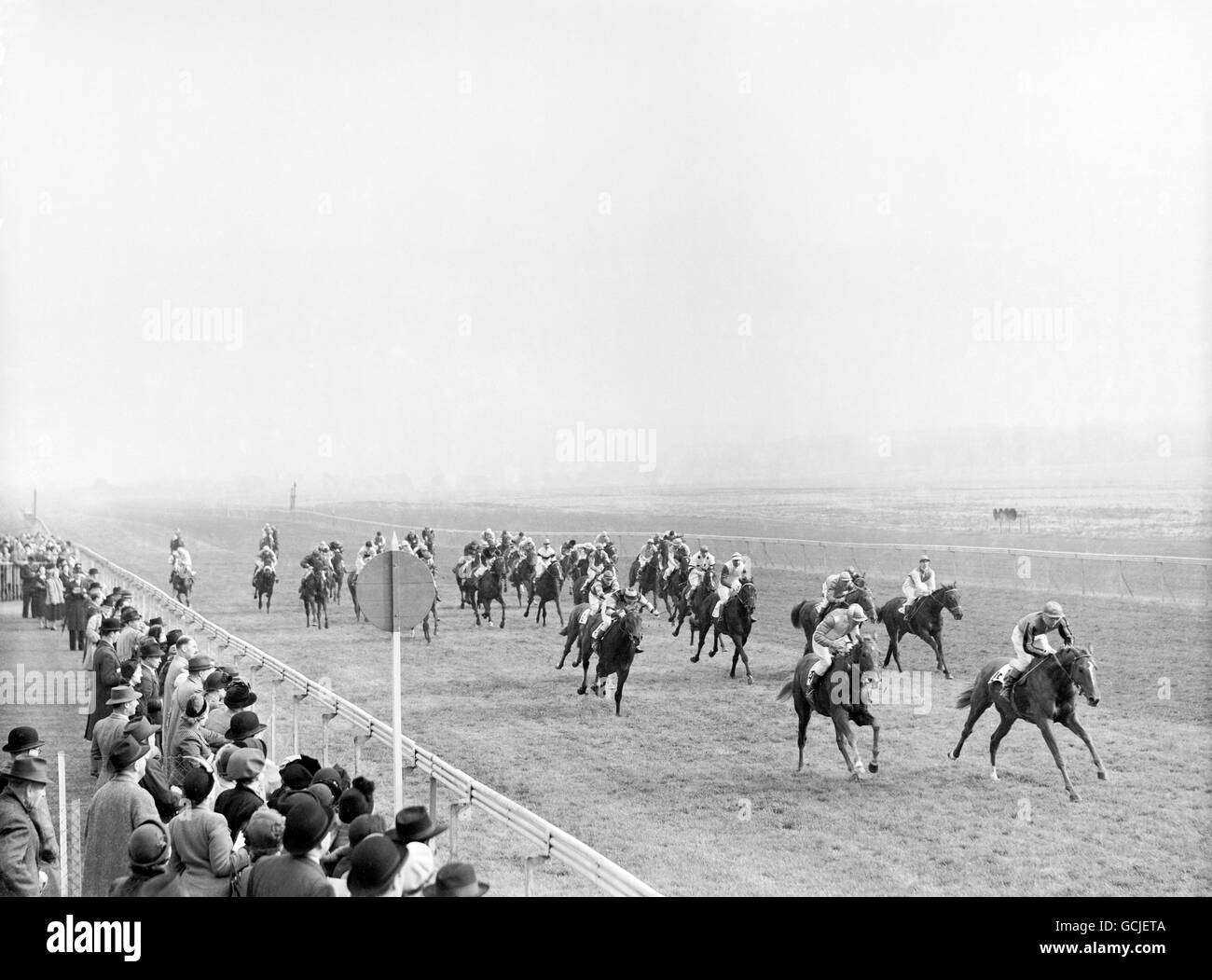 La piastra Theale Maiden ha preso parte 41 corridori. Cannon Game ha conquistato la vittoria con Gosling up, da Castiglian e Ankus Foto Stock