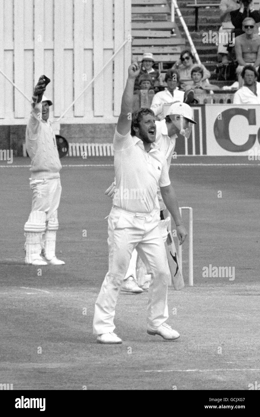 Il wicketkeeper inglese Alan Knott (l) si unisce al bowler Ian Botham nell'appello per il wicket del Terry Alderman australiano (r). Alderman è stato dato LBW per un'anatra al largo di Ian Botham. Foto Stock