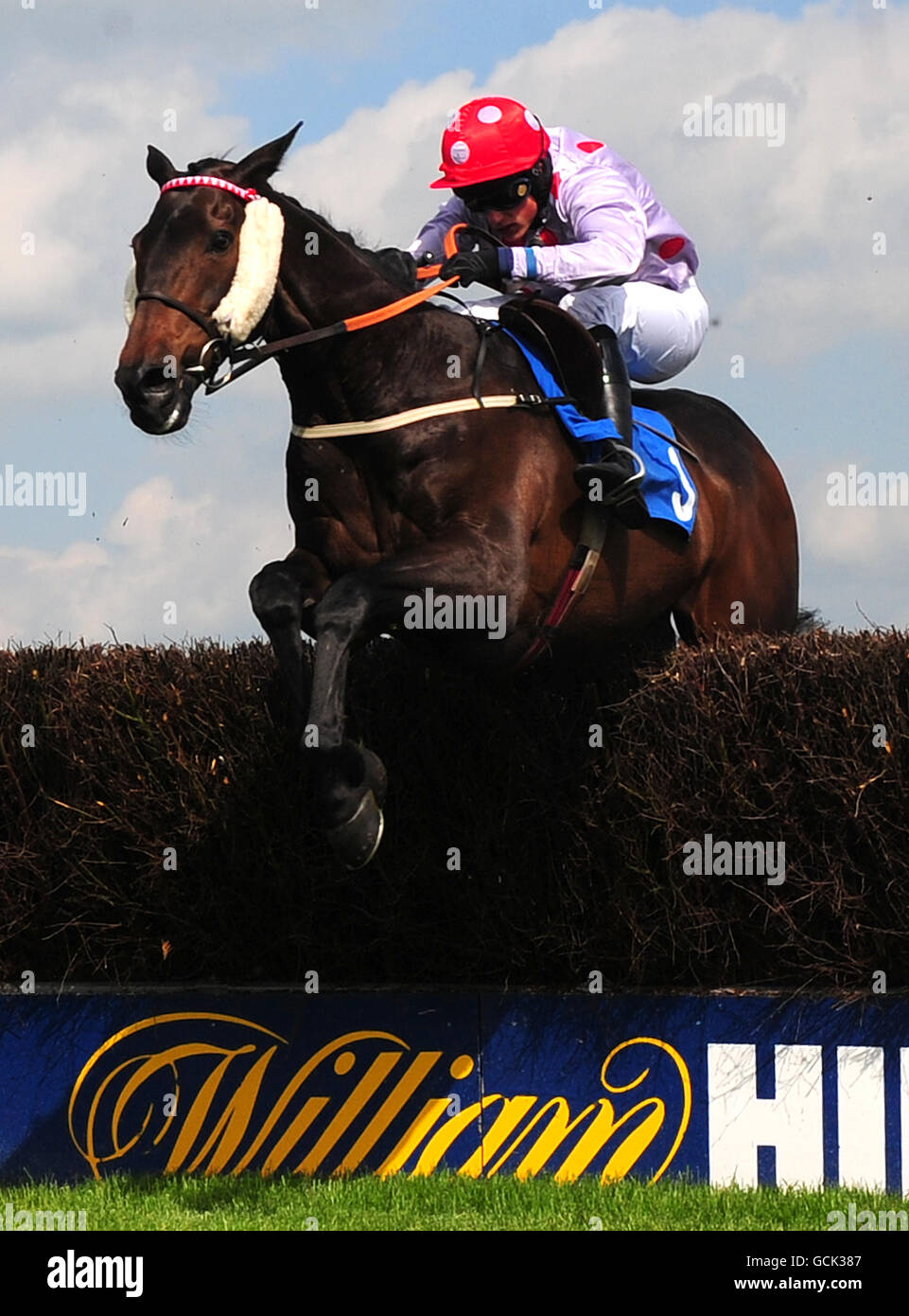 Horse Racing - Market Rasen Racecourse Foto Stock