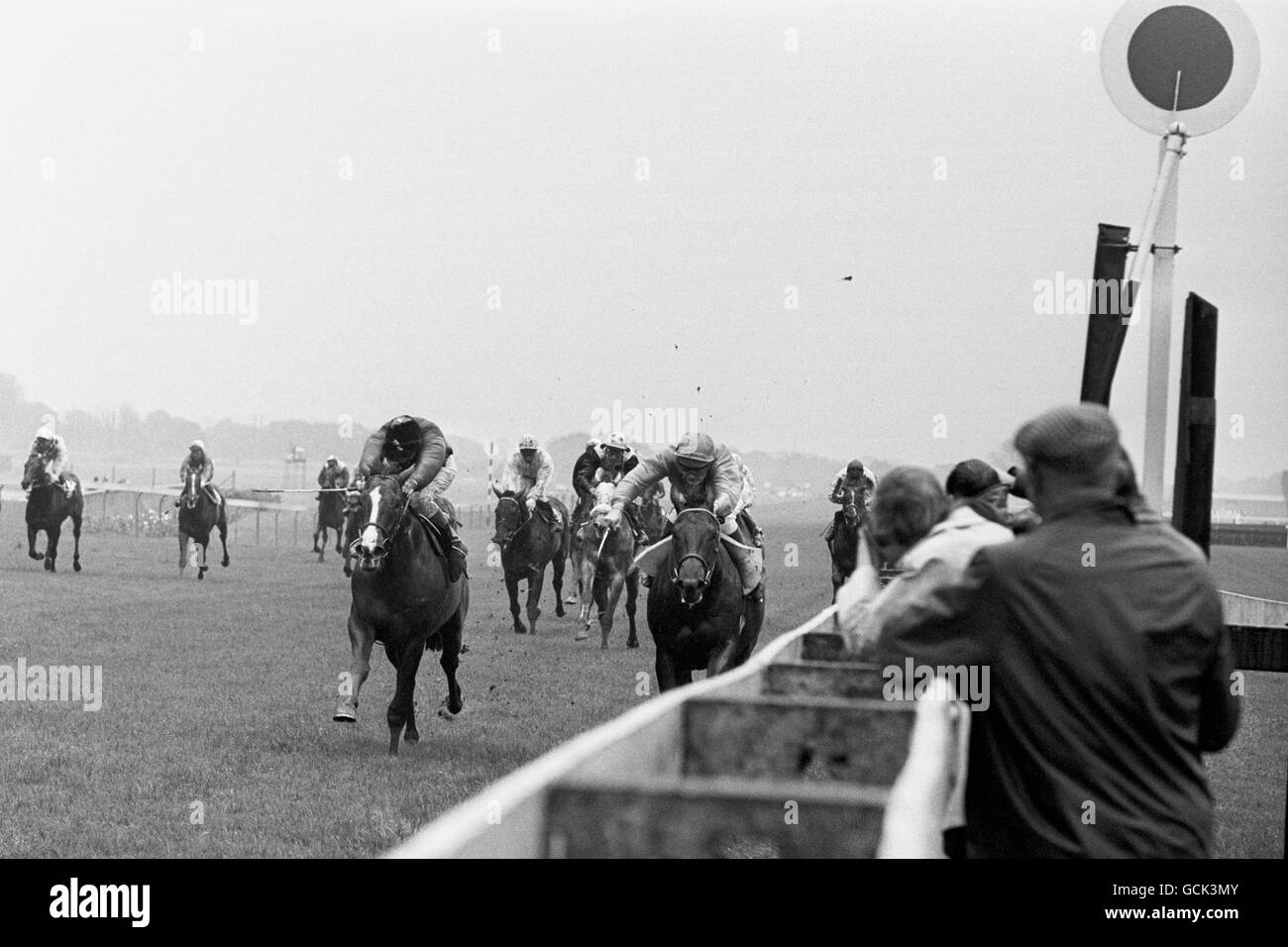 Corse di cavalli - il Theale Maiden Stakes - Ippodromo di Newbury. Willie Carson (a sinistra) porta Rhyme Royal alla vittoria seguita da Pat Eddery su Persepolis Foto Stock