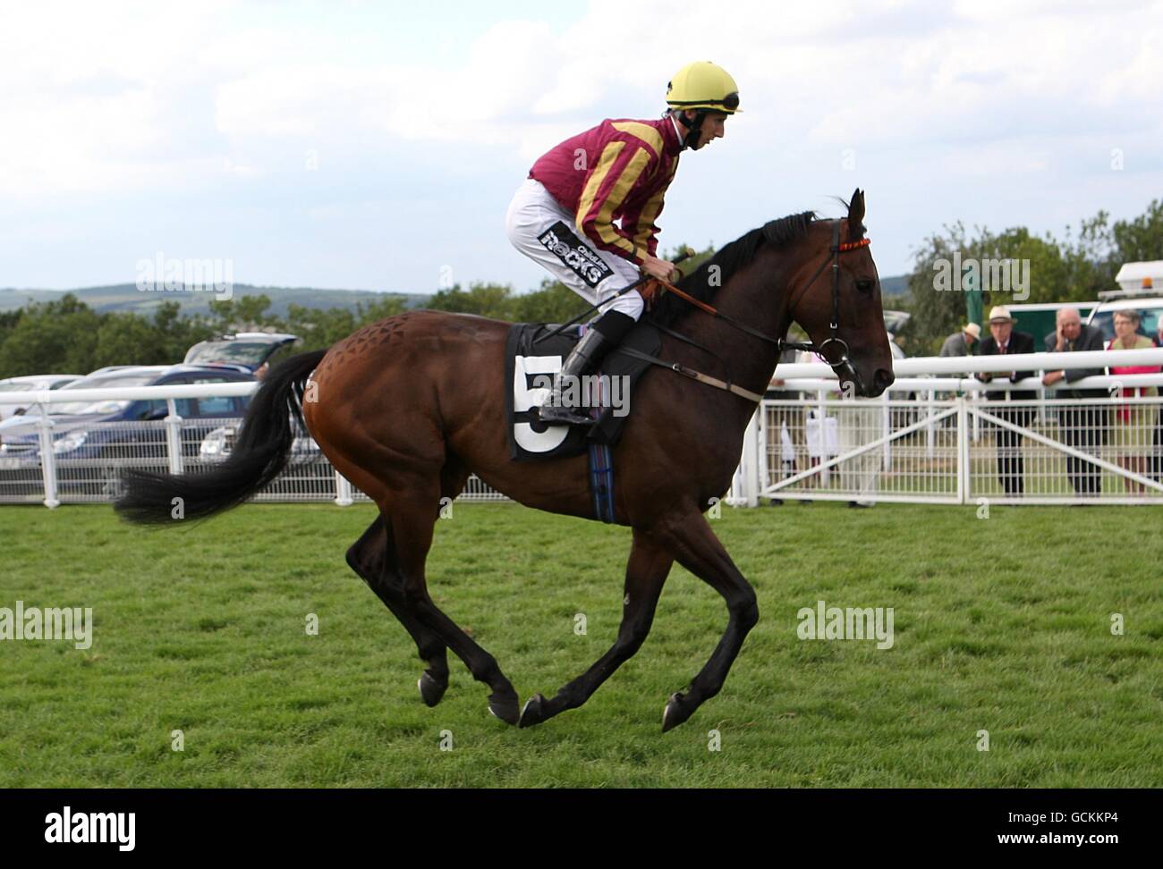 Rulesn'Rigulations guidato da George Baker che andrà a postare per l'E.B.F. Sportingbet.com Classificato Stakes durante il secondo giorno del glorioso Festival di Goodwood presso l'ippodromo di Goodwood, Chichester. Foto Stock