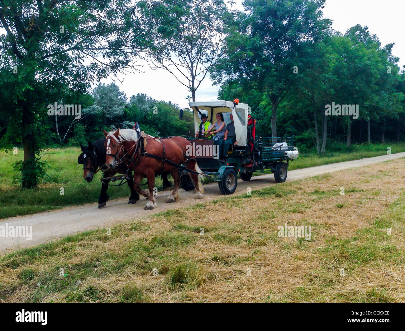 Parigi, Francia, francese, la manutenzione del parco Equipaggio di equitazione a cavallo carrello guidato nel Parco di Vincennes Foto Stock