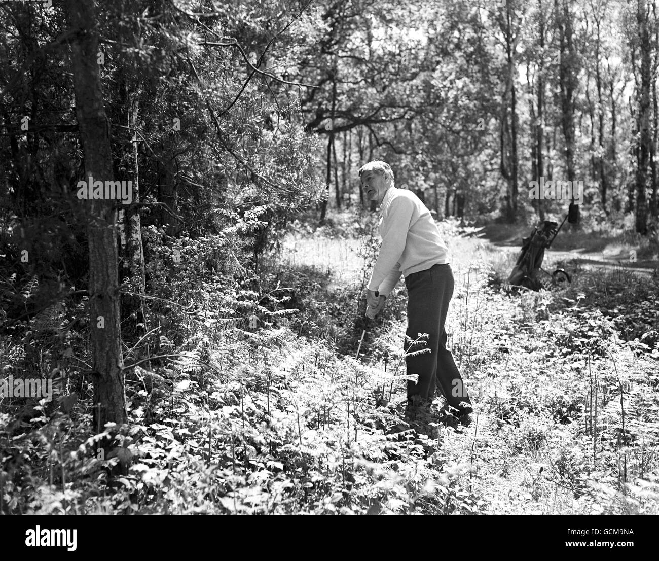 Golf - Confronto triangolare tra bandiera generale aria e i funzionari dei tre servizi - Wentworth Foto Stock
