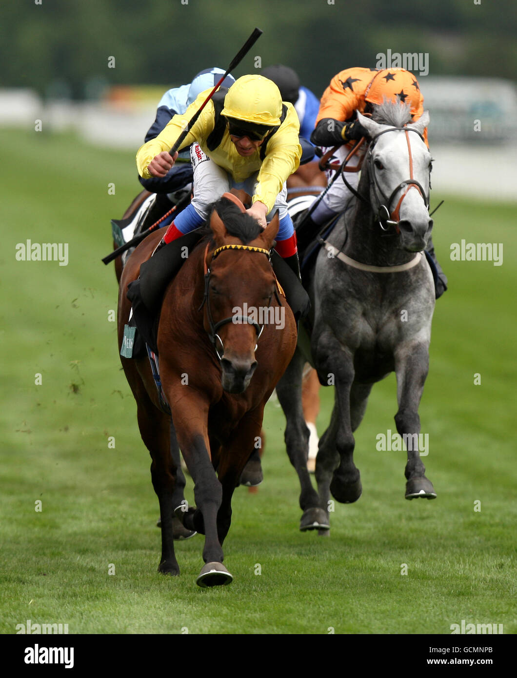 Opinione sondaggio (giallo) guidato da Frankie Dettori sulla strada A vincere la Weatherbys Insurance Lonsdale Cup Foto Stock