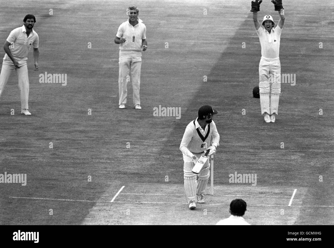 L'australiano batsman Ray Bright viene catturato come LBW, compagni di squadra inglesi (sinistra-destra) Mike Gatting, Mike Brealey e guardiano del cazzo Bob Taylor Foto Stock