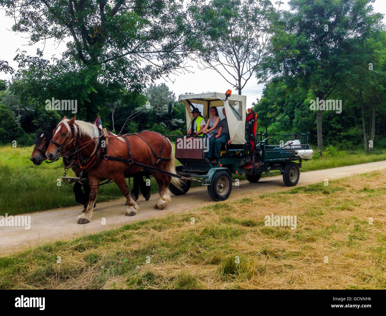 Parigi, Francia, francese, la manutenzione del parco Equipaggio di equitazione a cavallo carrello guidato nel Parco di Vincennes Foto Stock