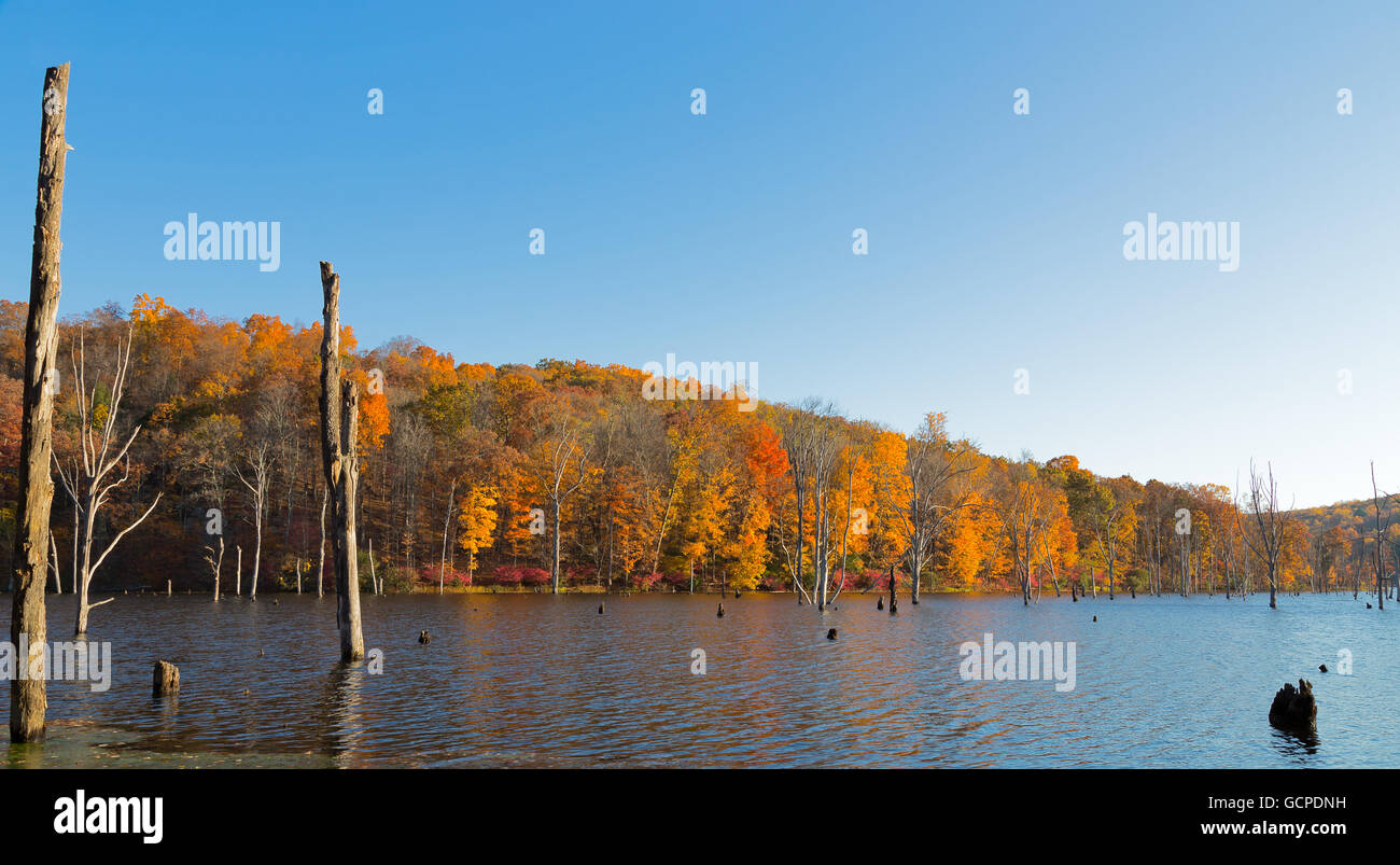 Autunno è arrivato Foto Stock