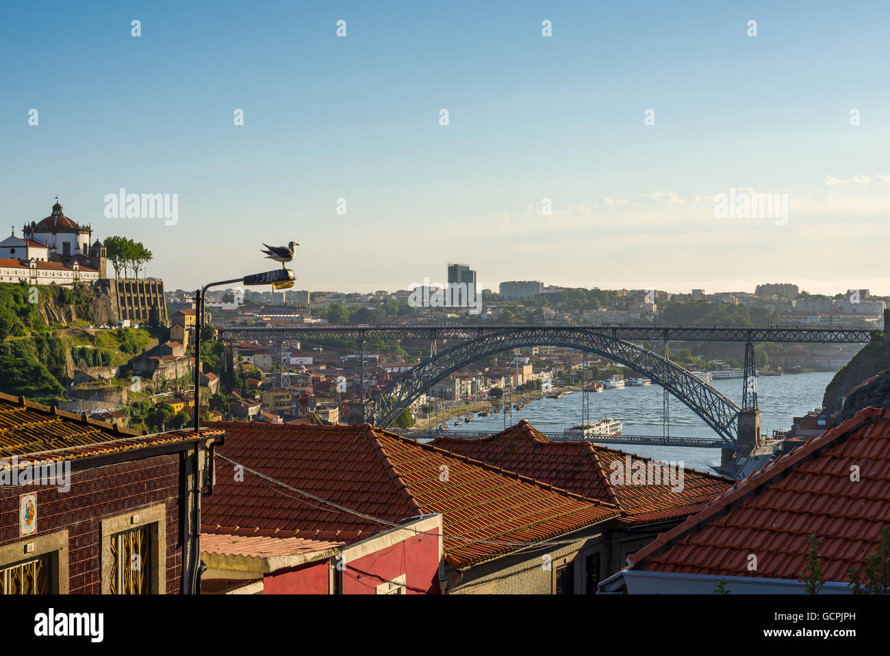 Seagull godendo la vista del Dom Luis I (o Luiz i) ponte sul fiume Douro nella città di Porto. Il Portogallo. Foto Stock