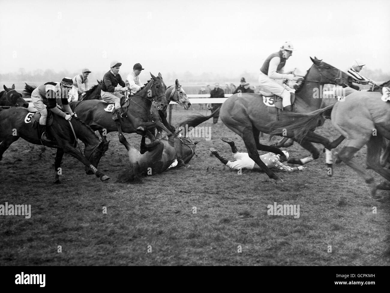 Corse di cavalli - Il Gloucestershire corsa ad ostacoli - Cheltenham Foto Stock