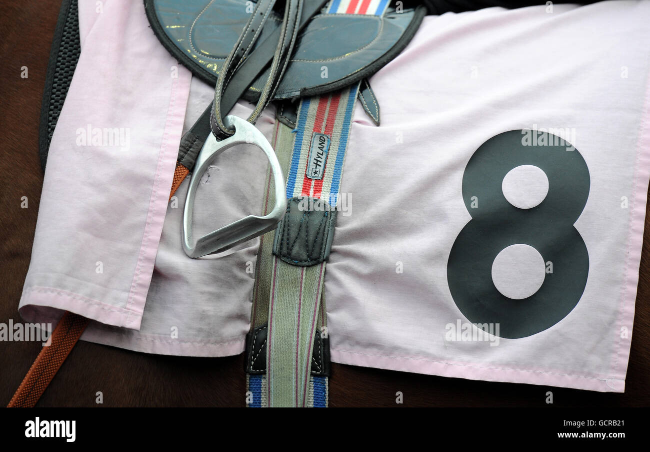 Corse ippiche - Digibet Wednesday Series - Kempton Park. Vista generale di un cavallo e di una sella con il numero 8 Foto Stock