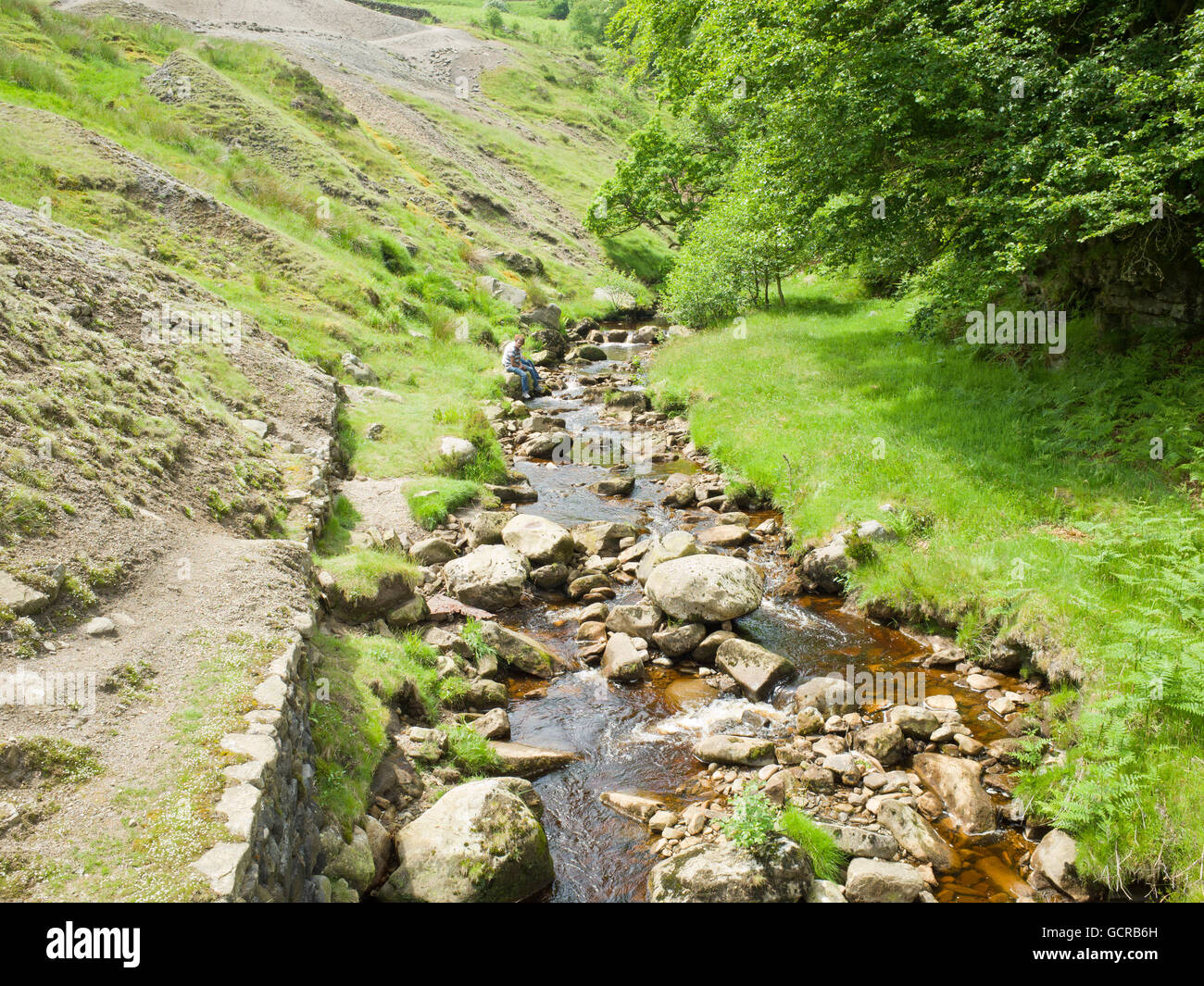 Ashford lato Beck Yorkshire Dales UK (vicino a Greenhow) Foto Stock