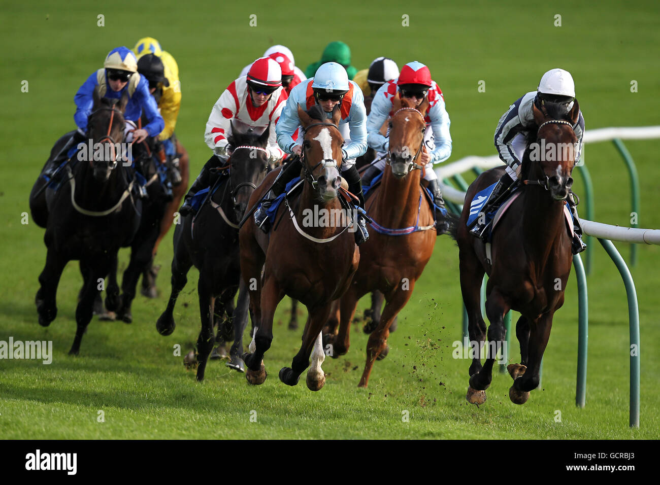 Action from the Student Discounts at Nottingham Racecourse - nottinghamracecourse.co.uk Handicap Foto Stock