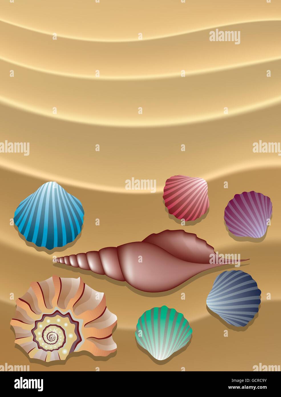 Vettore Collezione di conchiglie sulla sabbia Illustrazione Vettoriale