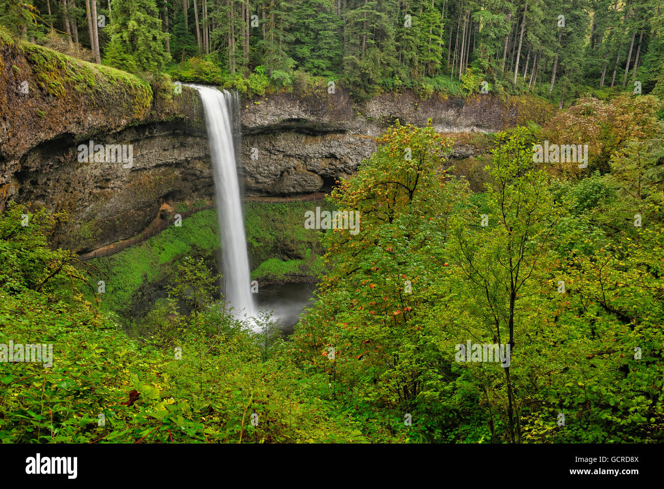 Splendida South Falls, Silver Falls State Park, Oregon Foto Stock