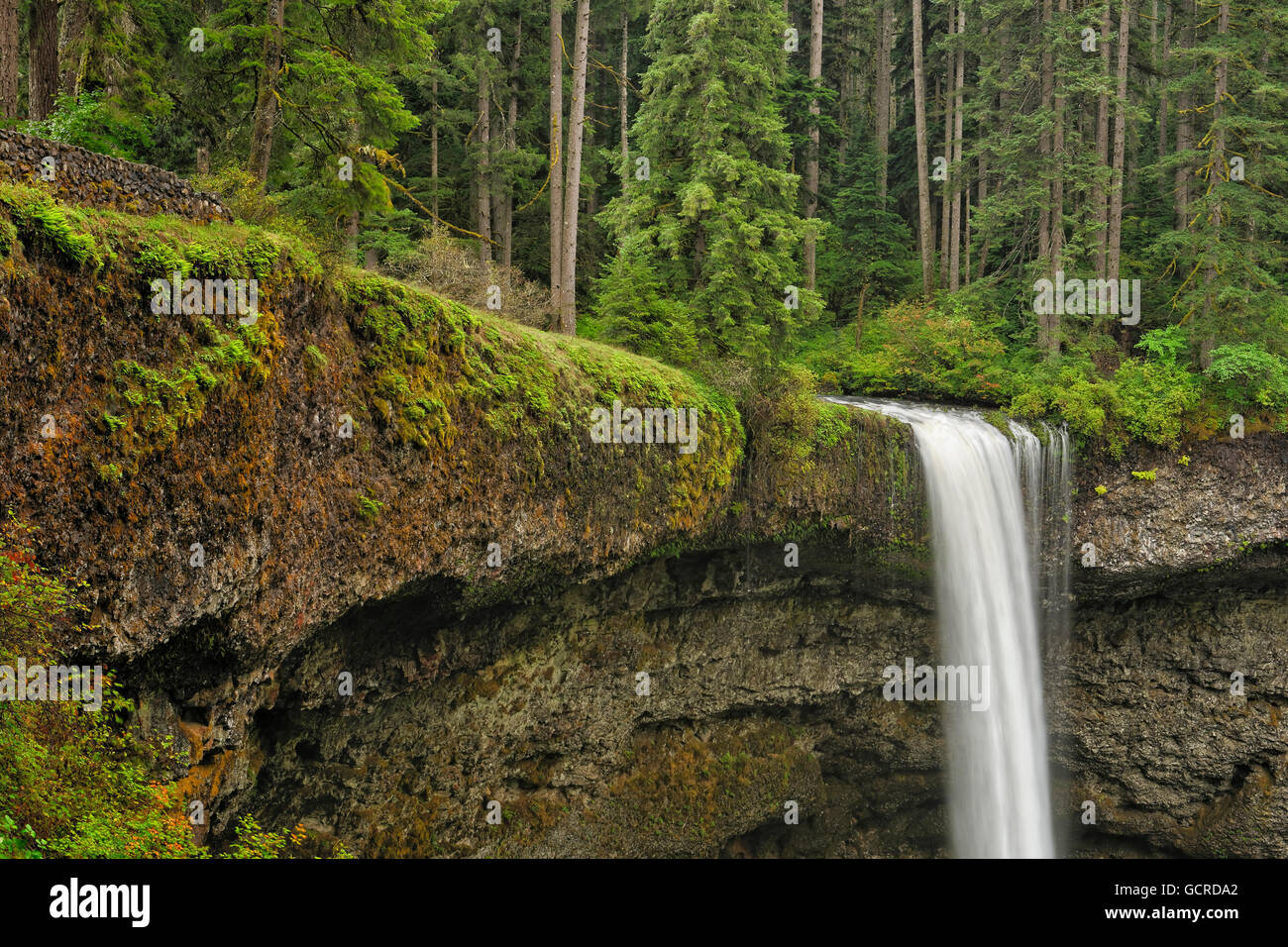 Splendida South Falls, Silver Falls State Park, Oregon Foto Stock