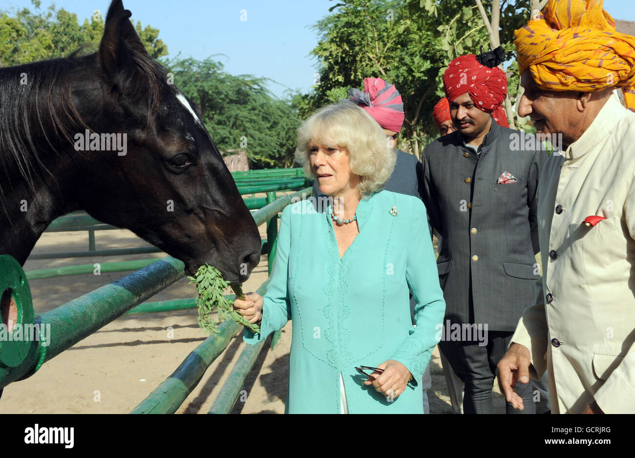La Duchessa di Cornovaglia vede i cavalli Marwari - una rara razza originaria della regione - al Palazzo di Bal Samand a Jodhpur, India. Foto Stock