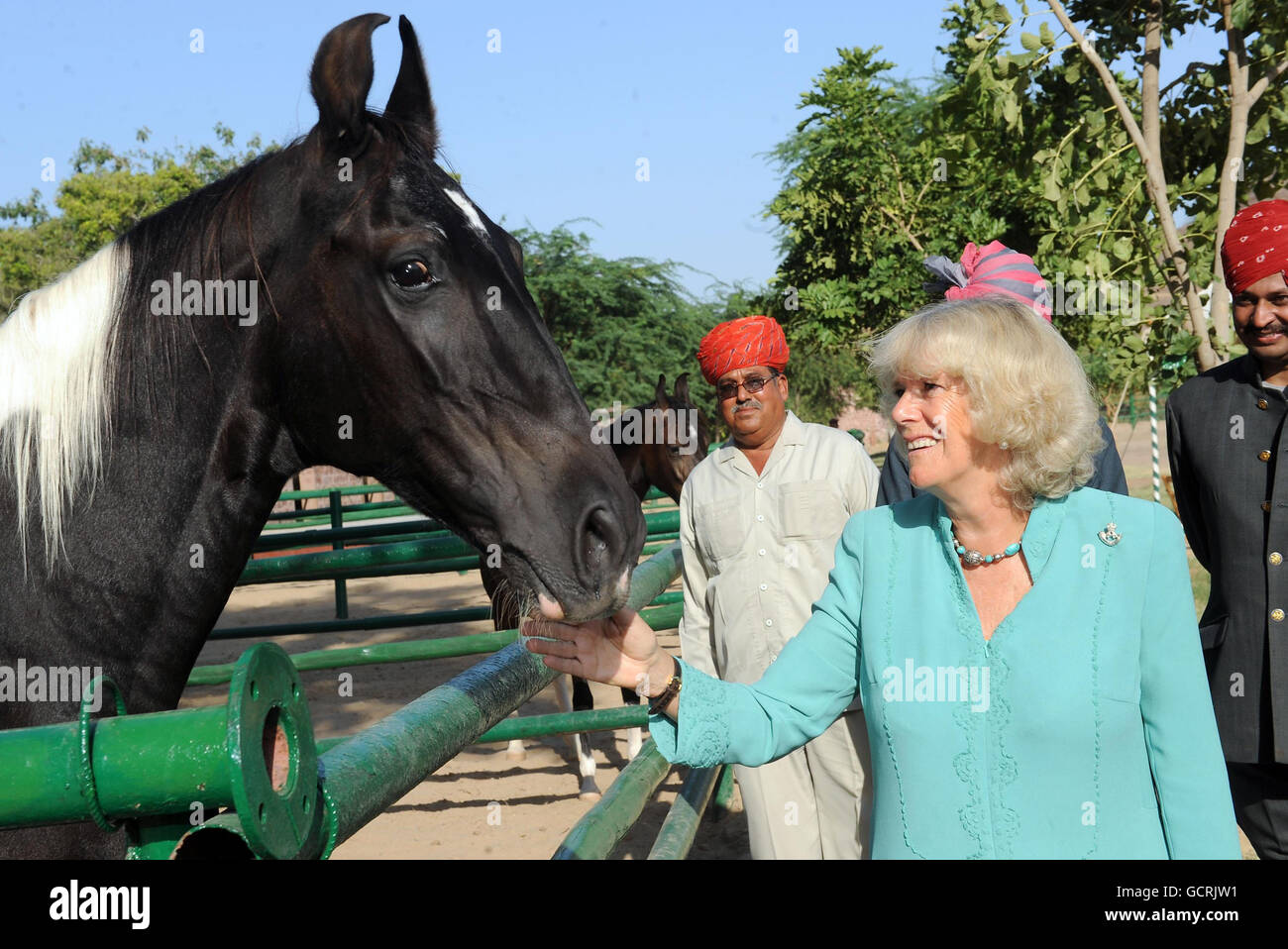 La Duchessa di Cornovaglia vede i cavalli Marwari - una rara razza originaria della regione - al Palazzo di Bal Samand a Jodhpur, India. Foto Stock